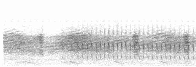 Желтогорлая пищуховая иглохвостка - ML614231372