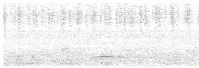 Copetón de Swainson - ML614231968