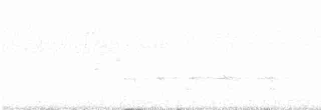 ledňáček posvátný (ssp. vagans) - ML614234234