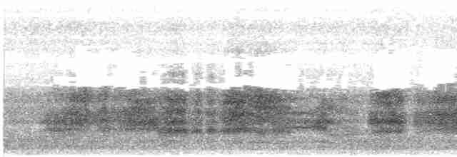 裏海燕鷗 - ML614234602