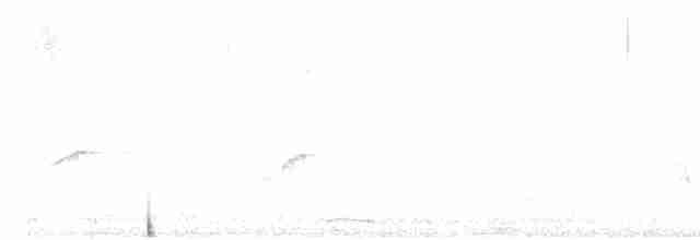 Бурокрылая ржанка - ML614240816