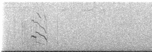 Pic chrysoïde - ML614242165