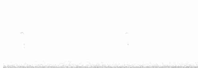 strakapoud americký - ML614242701