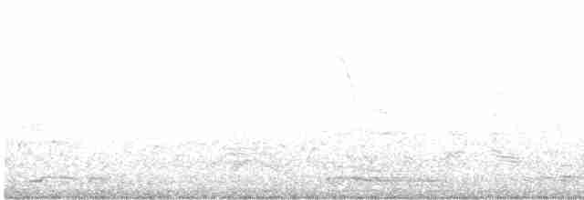Limon Karınlı Sinekbülbülü - ML614244676