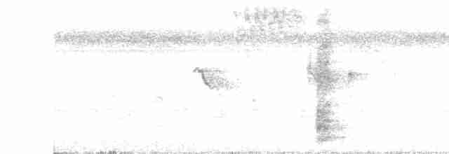 Krähenstirnvogel - ML614245092