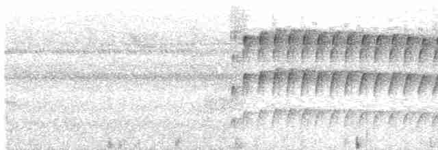 Тиран-інка буроголовий - ML614245496