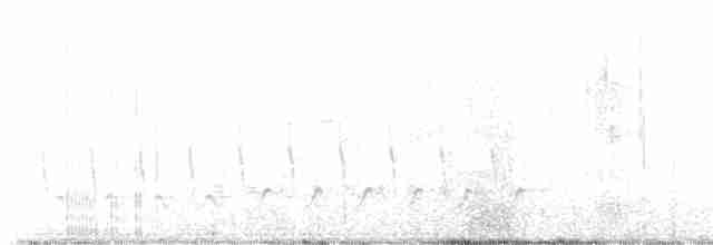 Кактусовый крапивник - ML614248884