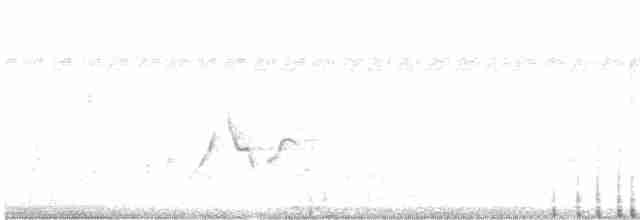 Ошейниковый медолюб - ML614249271