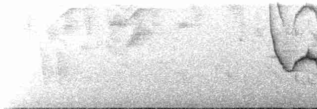 gullkronekjerrspurv (crassus) - ML614249444