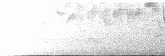 gullkronekjerrspurv (crassus) - ML614249445