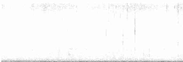 Gray-tailed Tattler - ML614250361