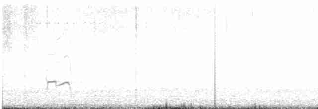 Gray-tailed Tattler - ML614250519
