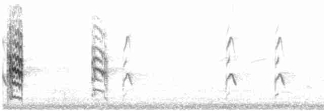 白翅黑燕鷗 - ML614250742