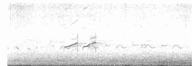 Common Redshank - ML614250765