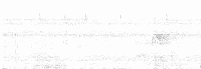 Тиран-інка буроголовий - ML614250807