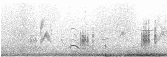 Крячок білокрилий - ML614250916