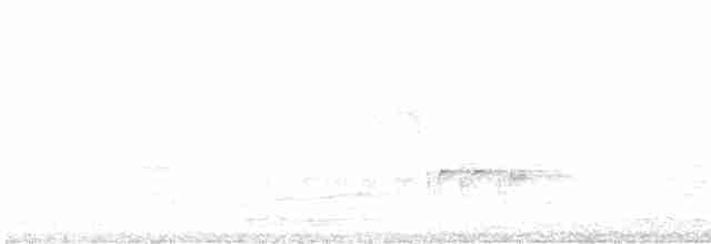 Torres Kargası - ML614255224