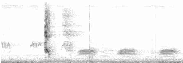 אנפית מנגרובים - ML614257478
