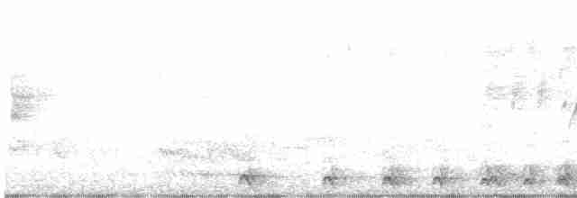 Malabar Gray Hornbill - ML614257760