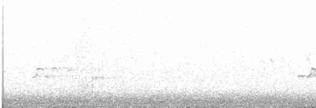 orel bělohlavý - ML614258072