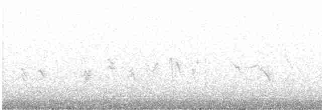 Weißbrustkleiber - ML614258295