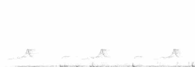 Schwarzkehl-Nachtschwalbe - ML614260883