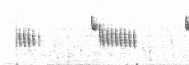 Troglodyte montagnard - ML614262434