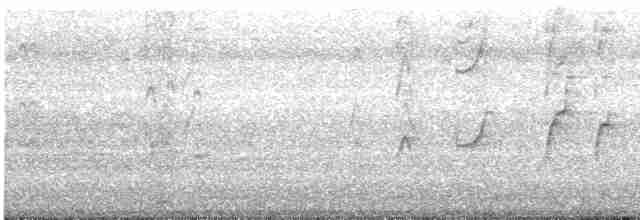 Kara Karınlı Islıkçı Ördek - ML614264476
