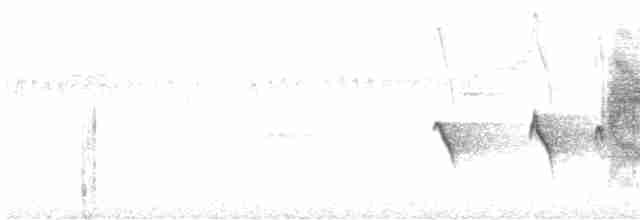 Strichelkopf-Ameisenfänger - ML614267888