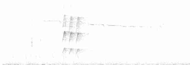 Тріщук сіроволий (підвид leucophrys/boliviana) - ML614267961