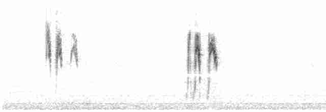 White Wagtail - ML614270056