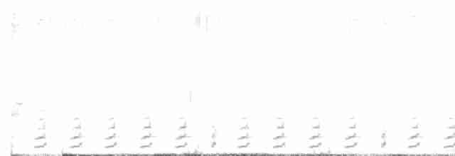 Northern Red-billed Hornbill - ML614275451