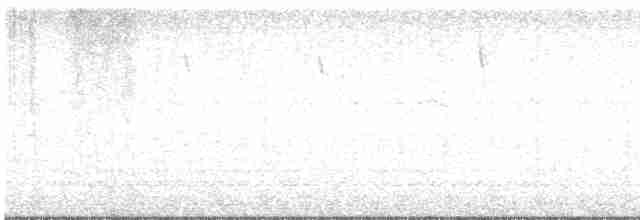 Gözlüklü Baştankara - ML614277804