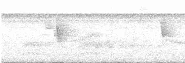 Nacktstirn-Ameisenvogel - ML614278561