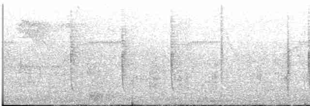 Swallow-tailed Hummingbird - ML614278711
