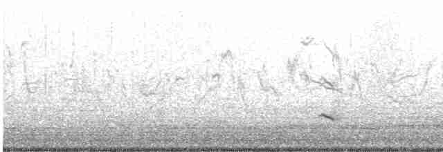White-tailed Kite - ML614278823