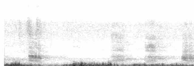 Ібіс молуцький - ML614282256
