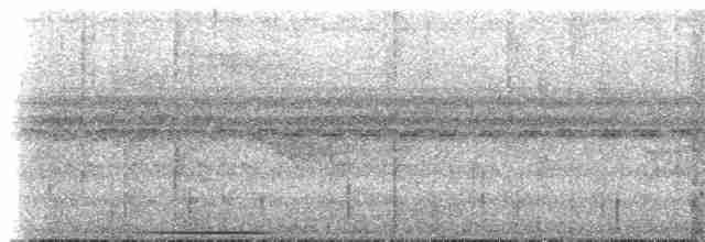 Streifenbrust-Ameisendrossel - ML614285140