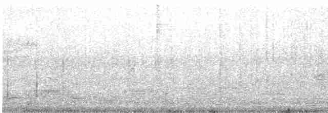 Малый пегий зимородок - ML614285722