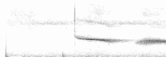 Чернопятнистая гологлазка - ML614288217