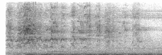 Амазонская которра (snethlageae) - ML614288241
