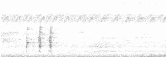 rosela černohlavá - ML614293799