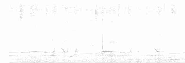 gråpannegrønndue - ML614294883