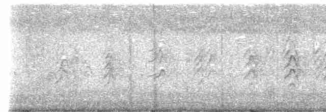 白胸燕鵙 - ML614295353