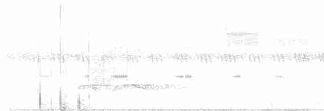Great Eared-Nightjar - ML614295479