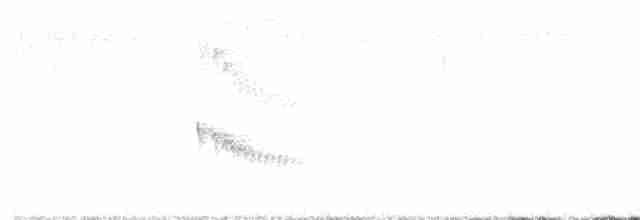 Тітіріджі білочеревий - ML614295571