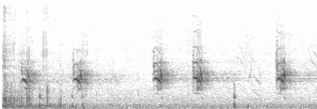 Сероголовый медосос - ML614295763