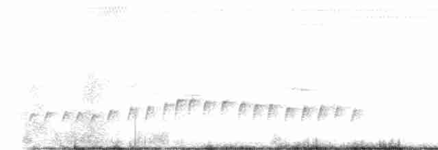 Кропив’янка чорносмуга - ML614297166