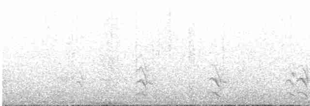 Сероголовый медосос - ML614297331