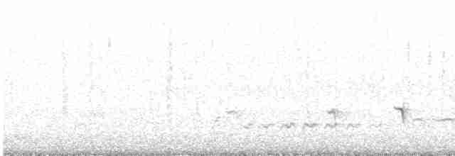 Сероголовый медосос - ML614297401